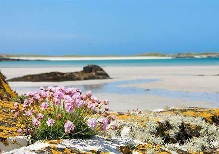 Wild Atlantic Stay Guest House Self-Catering Inverin Eksteriør billede