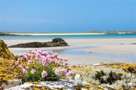 Wild Atlantic Stay Guest House Self-Catering Inverin Eksteriør billede